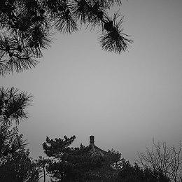 《星刃》首日将会有补丁 修复错误等